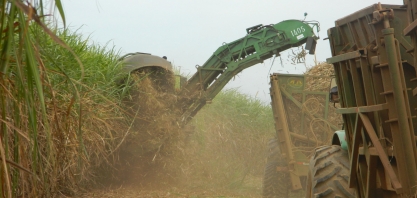 Governadores disputam investimentos chineses em renováveis