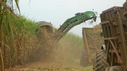 Governadores disputam investimentos chineses em renováveis