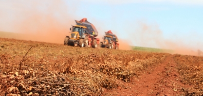 A Capital do Amendoim realiza feira nacional