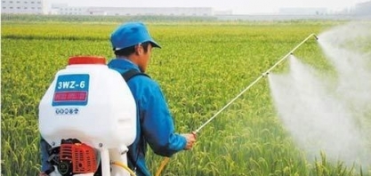 Estudo constata que Japão é o maior usuário mundial de defensivo agrícola