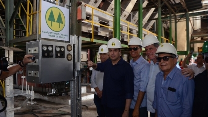 Usina Coaf começa moagem amanhã com previsão de crescimento