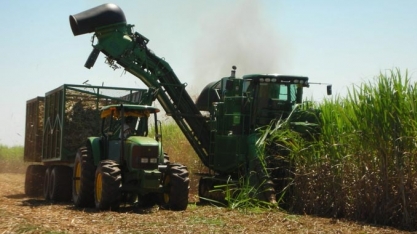 LNBR divulga 42ª edição do Boletim de Monitoramento da cana-de-açúcar em São Paulo e Goiás 