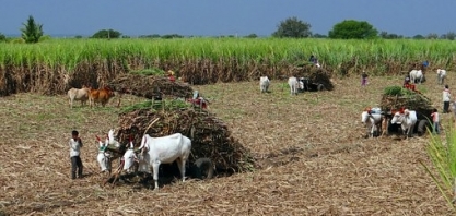 (Megacana Tech Show) Subsídio da Índia gera reclamação
