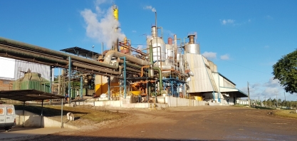 Missa em Pindorama marca início da safra 19/20