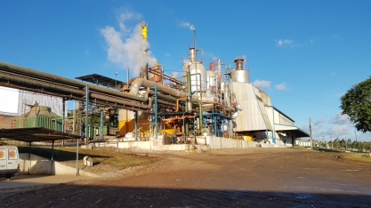 Missa em Pindorama marca início da safra 19/20