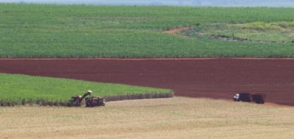 Seminário apresenta inovações tecnológicas para os canaviais