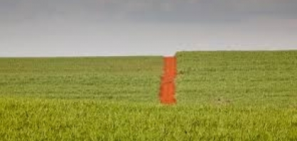 Preços agrícolas fecham o mês de julho com queda de 0,04%, diz IEA