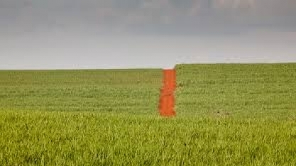 Preços agrícolas fecham o mês de julho com queda de 0,04%, diz IEA