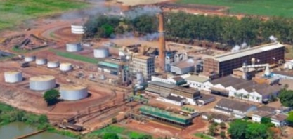 Biosev reduz prejuízo trimestral com ajuda de câmbio e redução de custos