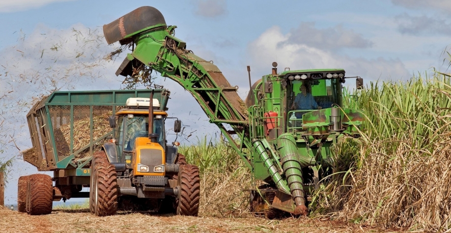 Maior parte do etanol produzido no país vem da cana-de-açúcar — Foto: Tadeu Fessel/Unica