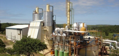 Pindorama confirma início da safra para o próximo dia 20