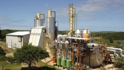 Pindorama confirma início da safra para o próximo dia 20