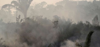 Empresas e agronegócio reagem com temor de retaliação diante de polêmica ambiental na Amazônia