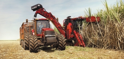 Produtividade agrícola nos canaviais da região Centro-Sul está em 83,78 toneladas por hectare