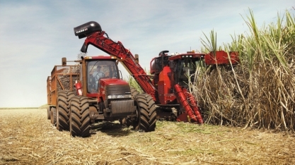 Produtividade agrícola nos canaviais da região Centro-Sul está em 83,78 toneladas por hectare