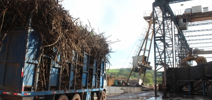 Asplana aposta no sucesso da safra 19/20