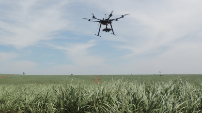 Drones devem substituir aeronovaves na pulverização agrícola dentro de poucos anos