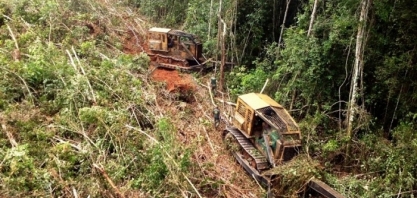 Desmatamento afeta imagem do país e causa preocupação
