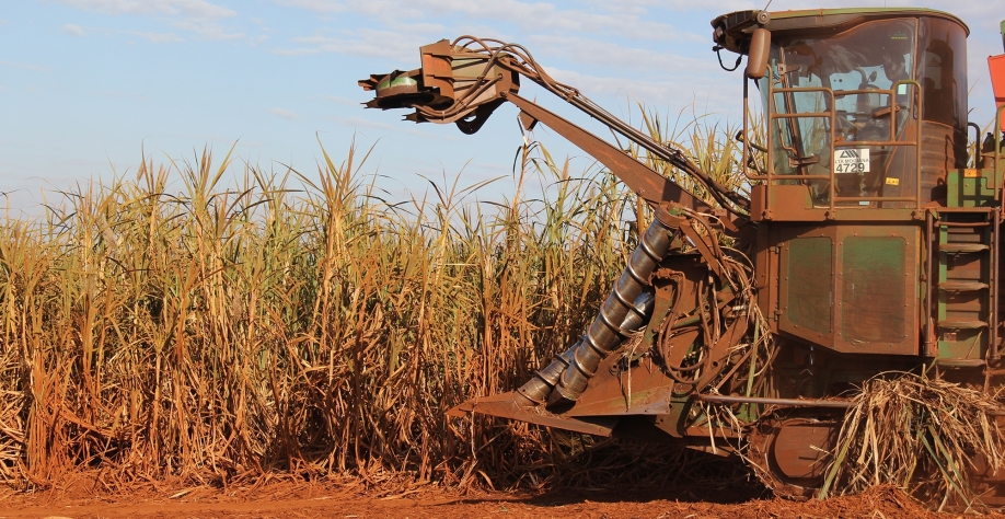 Colheita em canavial-teste com Plene Emerald. Crédito: CanaOnline