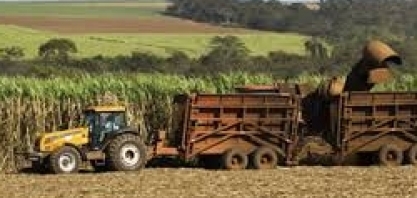 Expectativas para a safra de cana-de-açúcar 2019/2020