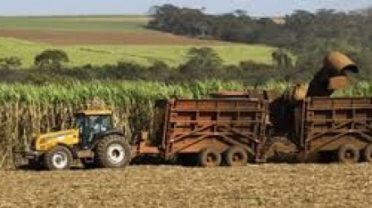 Expectativas para a safra de cana-de-açúcar 2019/2020