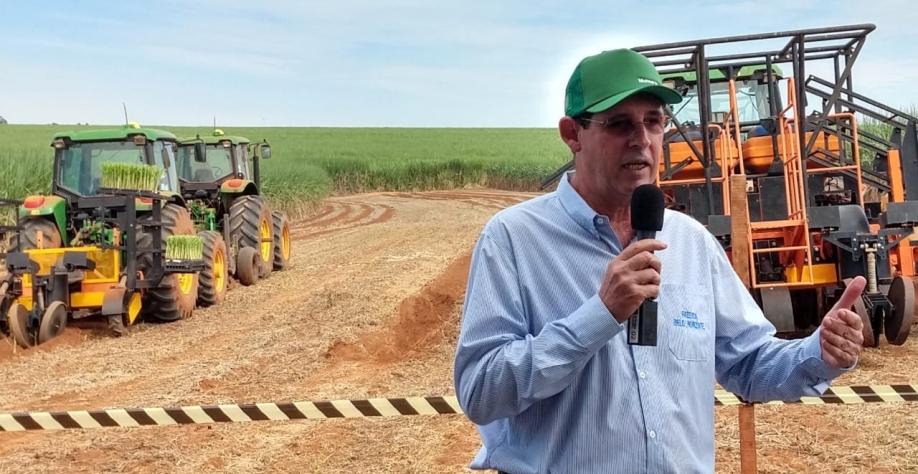 Para o produtor Ismael Perina, não adotar a Meiosi é um “erro grave”