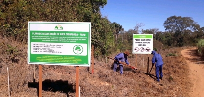 Usinas goianas investem em programas ambientais