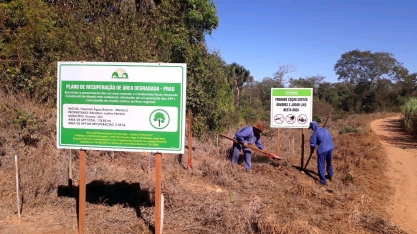 Usinas goianas investem em programas ambientais