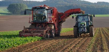 Açúcar: revisão de aumento do déficit em 2019/20, para 5,2 mi de toneladas