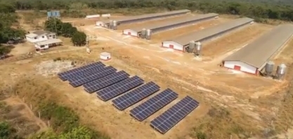Com energia mais cara no campo, produtores investem em usinas próprias de geração de energia em MT
