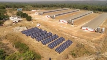Com energia mais cara no campo, produtores investem em usinas próprias de geração de energia em MT