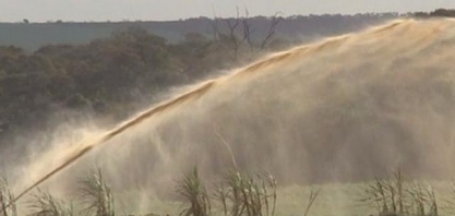Justiça proíbe descarte excessivo de vinhaça após infestação de moscas