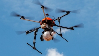 Brasil é líder mundial em tecnologias de controle biológico