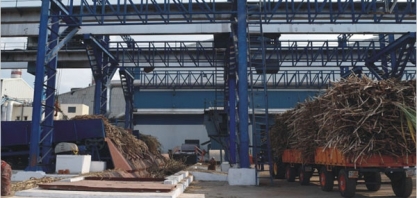 Produção de açúcar da Índia pode ser a menor em 3 anos por secas e inundações 