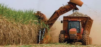 IBGE: valor da produção agrícola nacional cresce 8,3% e atinge recorde de R$ 343,5 bilhões