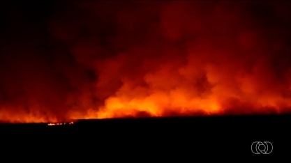 Incêndio em canavial faz funcionários descocuparem usina em Goiatuba
