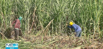 Canavieiros se reúnem para discutir ampliação de isenção para importação de etanol dos EUA