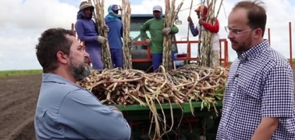 Plantio mecanizado proporciona redução de 30% no custo de renovação de canaviais