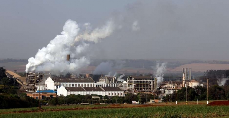 Usina de processamento de cana em Pradópolis (SP) 13/09/2018 REUTERS/Paulo Whitaker Foto: Reuters