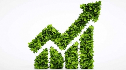 Biocombustíveis e os princípios de sustentabilidade