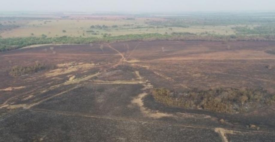 Área que foi devastada pelas chamas do incêndio. (Foto: Divulgação/PMA)