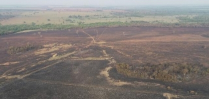 Usina é multada em quase meio milhão por incêndio em 441 hectares
