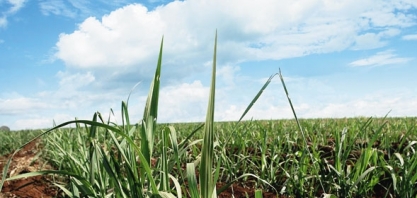 “Nunca tivemos e nunca pedimos privilégios fiscais”, diz lider do Sifaeg