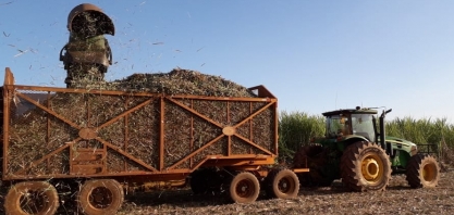 Pequeno produtor tem cana de 7º corte produzindo 87 toneladas por hectare