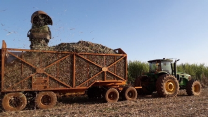 Pequeno produtor tem cana de 7º corte produzindo 87 toneladas por hectare