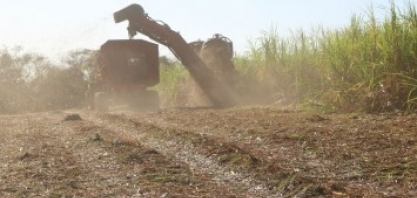 Uso da palha da cana para gerar bioenergia requer critérios, aponta estudo