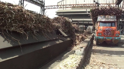 Índia enfrenta produtores globais em mercado de açúcar