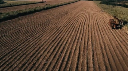 Bradesco projeta ciclo de açúcar positivo e recomenda compra para ações da São Martinho