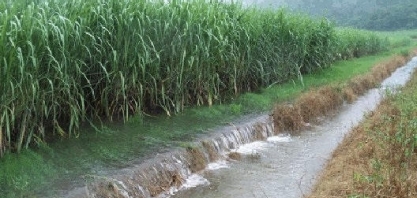 Índia registra chuvas acima da média após seis anos