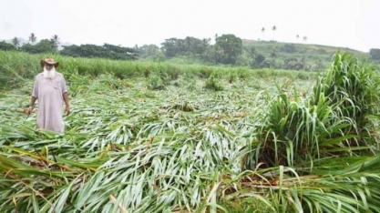 Produção de açúcar da Índia pode ser a menor em 3 anos por secas e inundações